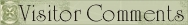visitorcom