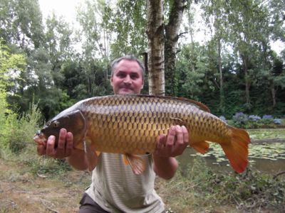 18lb Common Carp